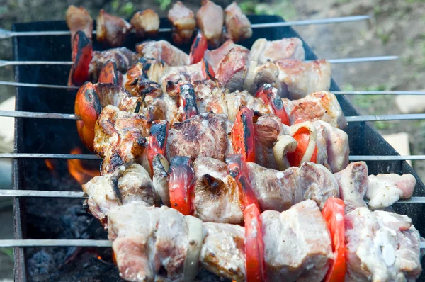Torrefação kebab — Fotografia de Stock