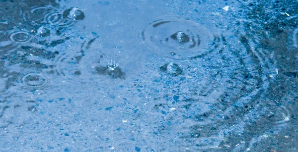 Gotas de agua de lluvia — Foto de Stock
