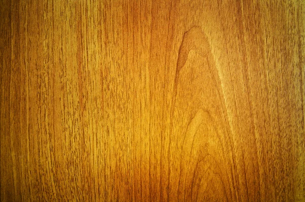 Textura de madera de arce — Foto de Stock
