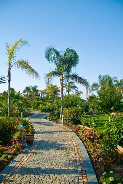 stock image Tropical resort park