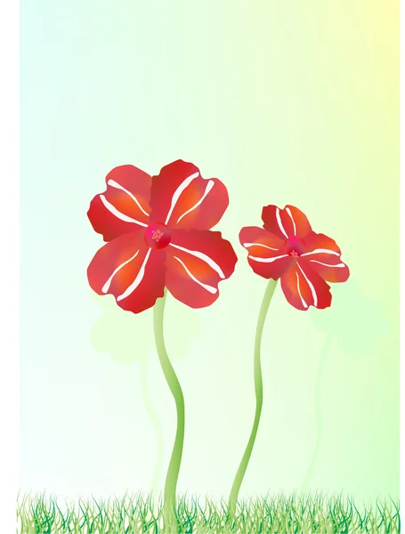 美しい赤い花、草の上. — ストックベクタ