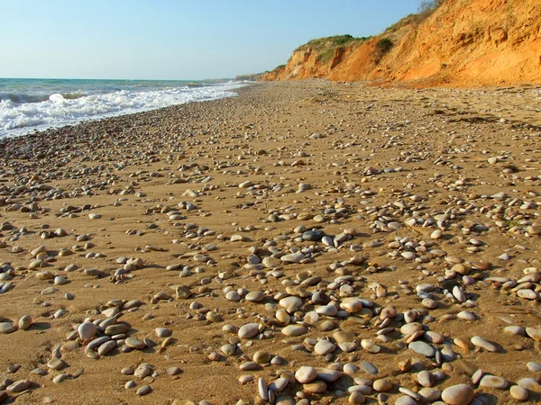 stock image Wild beach