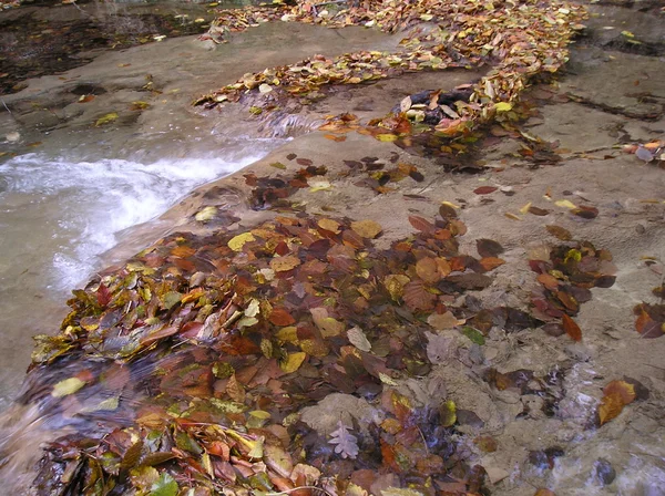 Осінній річка — стокове фото