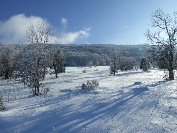 Winter landscape Stock Picture