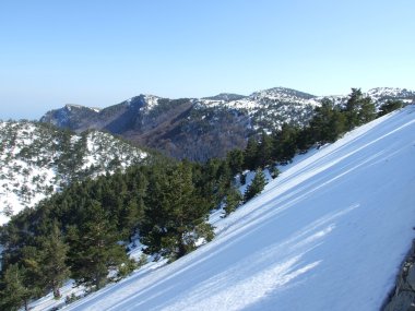 Kış manzarası