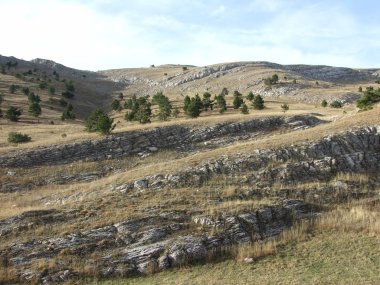 Kırım tablo