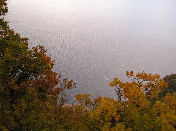 Stock image Autumn landscape