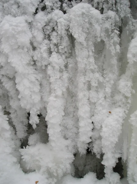 Fundal de iarnă — Fotografie, imagine de stoc