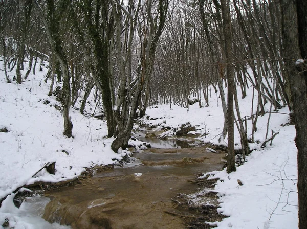 Winter stream — Stock Photo, Image