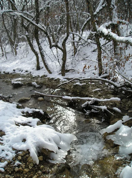 Зимний поток — стоковое фото