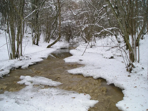 Winter stream — Stock Photo, Image