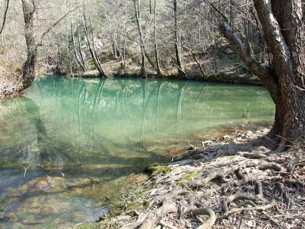 Lugar en un río — Foto de Stock