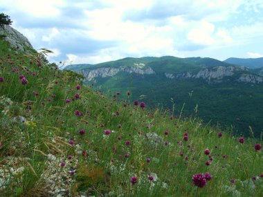 Dağ manzarası