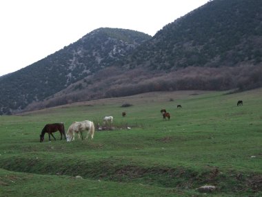 Dağ manzarası