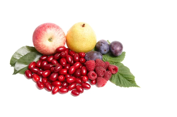 Maturare succosi frutti autunnali su un bianco . — Foto Stock