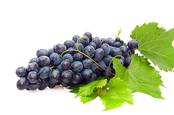 Grappolo d'uva . — Foto Stock