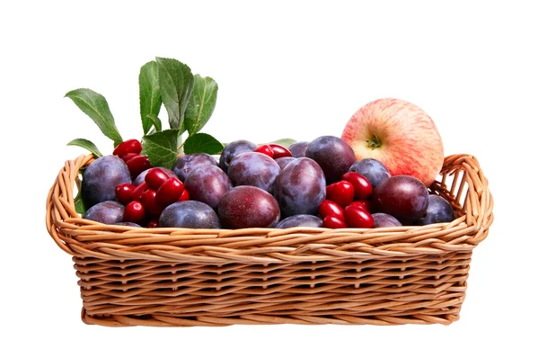Maravilhosos frutos na cesta de madeira . — Fotografia de Stock