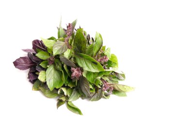 Smelling basil on a white. clipart