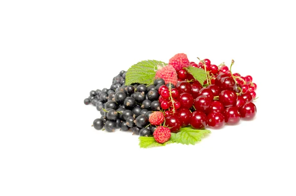 Gustoase, fructe de padure amestecate pe un alb . — Fotografie, imagine de stoc