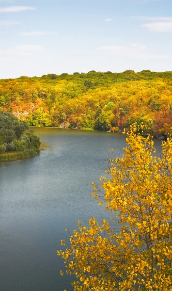 stock image Golden autumn came.