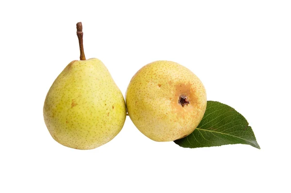 Saftiga, mogna päron på en vit. — Stockfoto