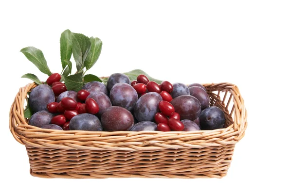 Juicy fruits in the basket. — Stock Photo, Image