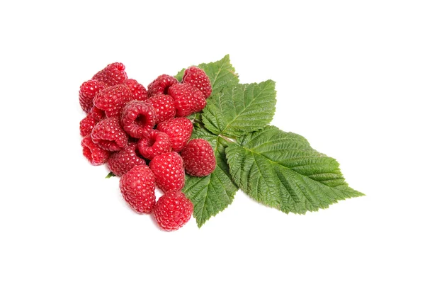 Juicy tasty raspberries on a white. — Stock Photo, Image