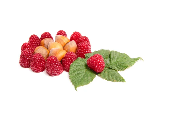 Tasty raspberries and nuts on a white. — Stock Photo, Image