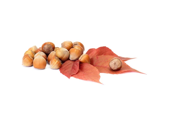 Nádherné, podzimní listí a ořechy na w — Stock fotografie