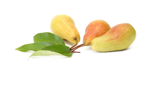 Prachtige, heerlijke peren op een wit. — Stockfoto