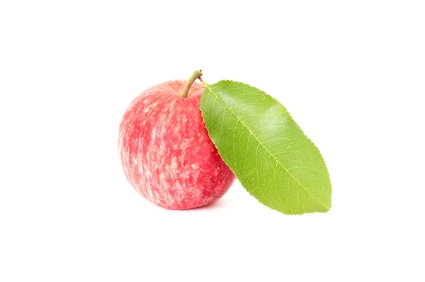 Ζουμερός μήλο πάνω σε άσπρο. — 图库照片
