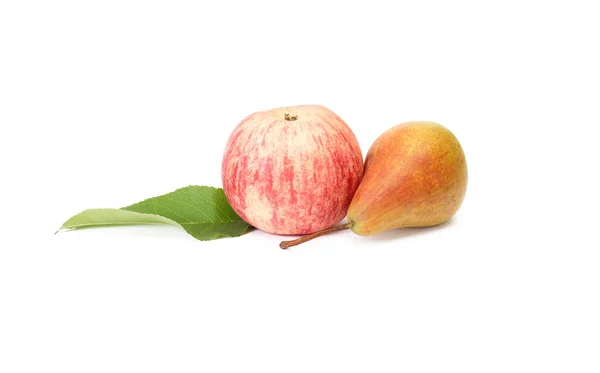 Soczyste owoce jesień na białym. — Zdjęcie stockowe
