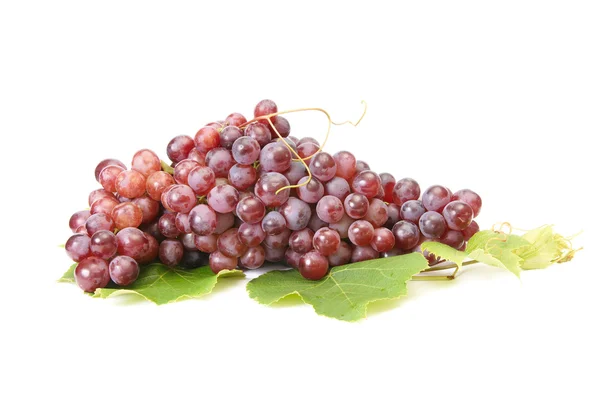 Ripe grape on a white. — Stock Photo, Image