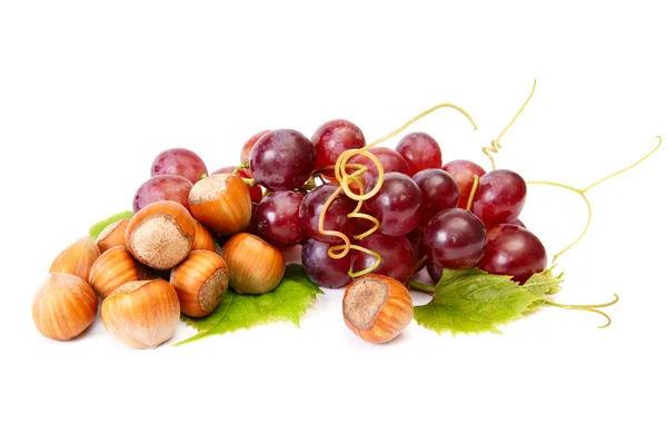 Rijp hazelnoten en sappige druiven op een whi — Stockfoto