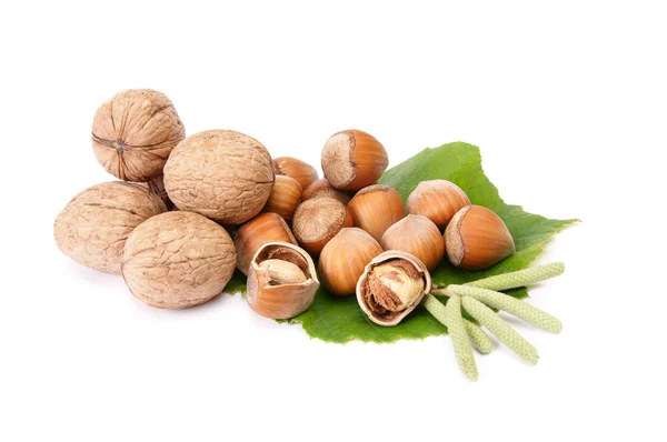 Wonderful view of hazelnuts and walnuts — Stock Photo, Image
