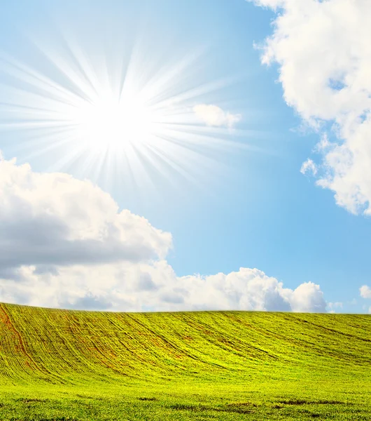 Prachtige zon balken en groene veld in de sp — Stockfoto