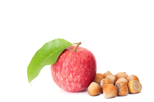 Tasty hazelnuts and fresh apple on a whi — Stock Photo, Image