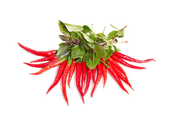 Groene basilicum en rode paprika's op een wit. — Stockfoto