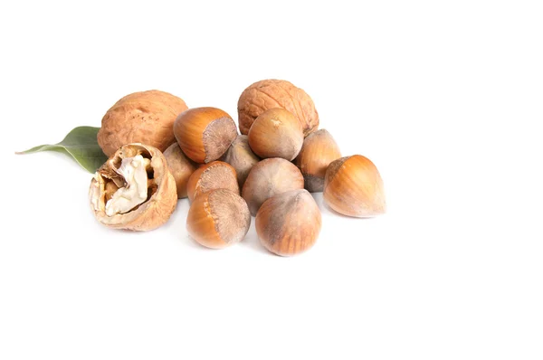 Välsmakande nötter på en vit. — Stockfoto