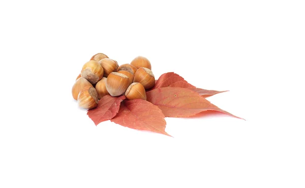 Colorido, hojas de otoño y nueces en un wh — Foto de Stock