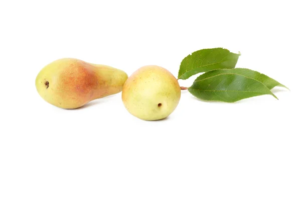 Splendid,ripe,tasty pears on a white. — Stock Photo, Image