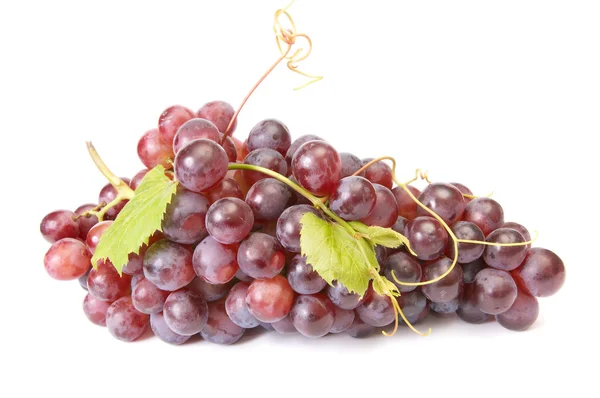 Спелый, прекрасный виноград на белом — стоковое фото