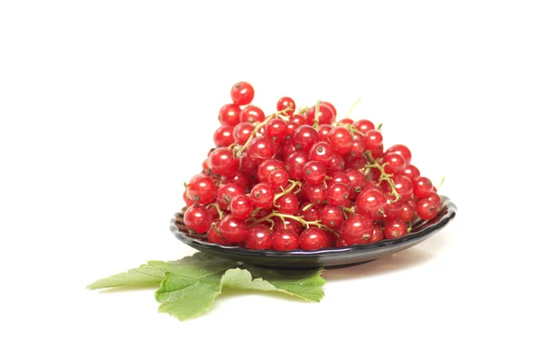 Brown plate and red currant on a white. — Stock Photo, Image