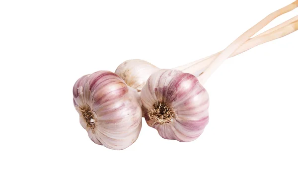 Tasty garlic on a white. — Stock Photo, Image