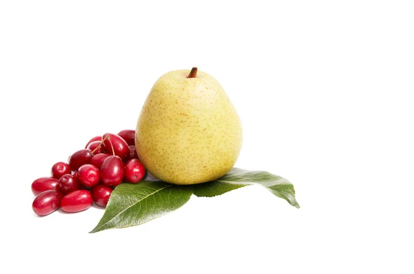 Rijpe, verse herfst vruchten op een wit. — Stockfoto