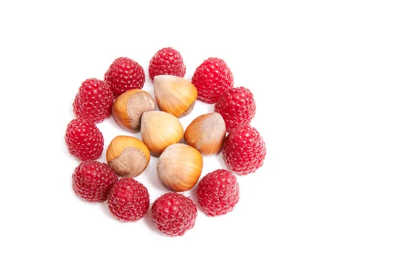 Ripe raspberries and hazelnuts on a whit — Stock Photo, Image