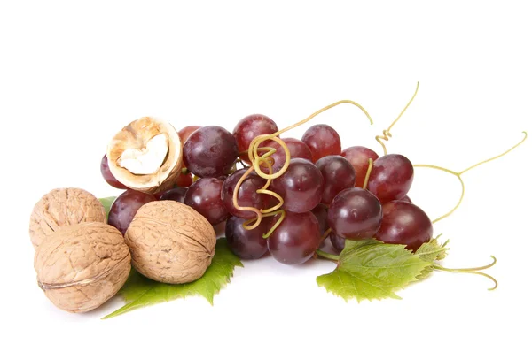Tasty , ripe walnuts and grape isolated — Stock Photo, Image