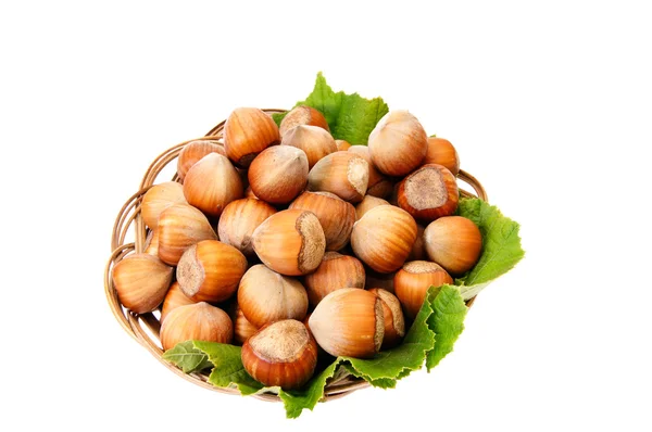 Mogen, välsmakande hasselnötter på en vit. — Stockfoto