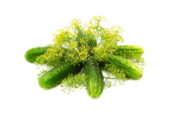 Cucumbers and dill. clipart