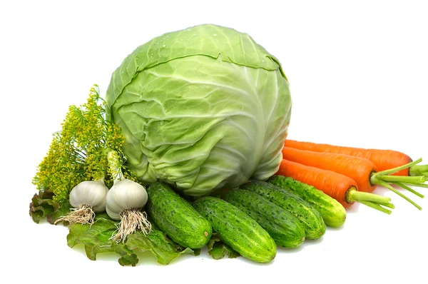 Λάχανο, καρότο, σκόρδο, τα αγγούρια, άνηθο, ας — Φωτογραφία Αρχείου